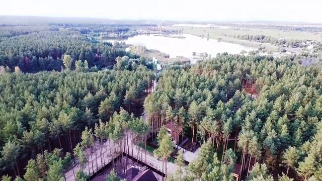 Сосновый бор Белгород смотреть онлайн