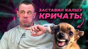 ШОК! ОДОБРИЛИ КРЕДИТ 68! | БАНКРОТСТВО | Кузнецов | Аллиам