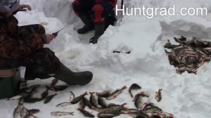 Зимняя рыбалка в ХМАО 2020