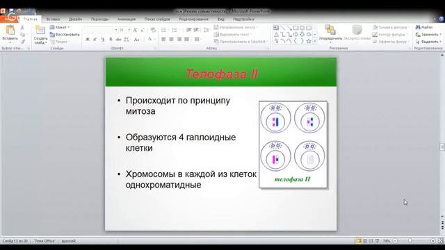 ЕГЭ по биологии 11 класс  Занятие 60 Мейоз. Гаметогенез
