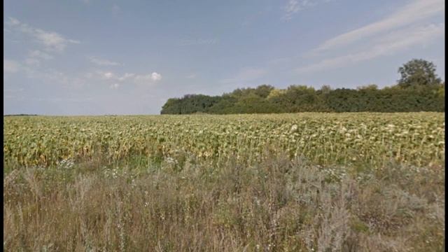 правороть прохоровский район