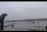 Тестирую фидером давно заинтриговавшие меня место на Дону