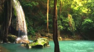 Native American Flutes Relaxing Music + Rain and Nature Sounds