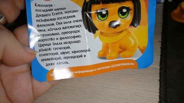 SWEET BOX ПУШИСТИКИ ИСТОРИЯ НОВАЯ КОЛЛЕКЦИЯ 2022 6