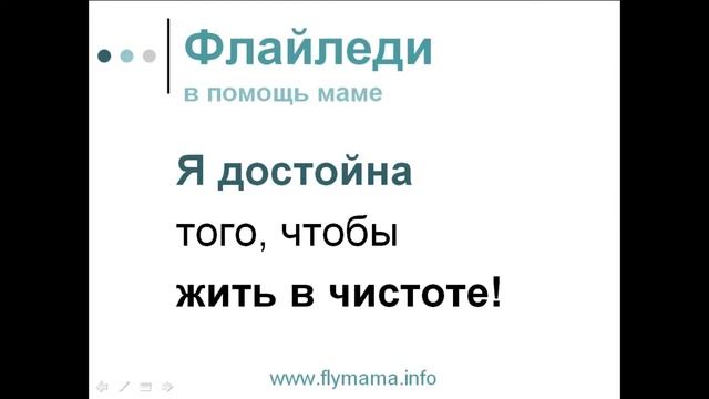 Система "Флайледи" для мам / О системе Flylady / Света Гончарова