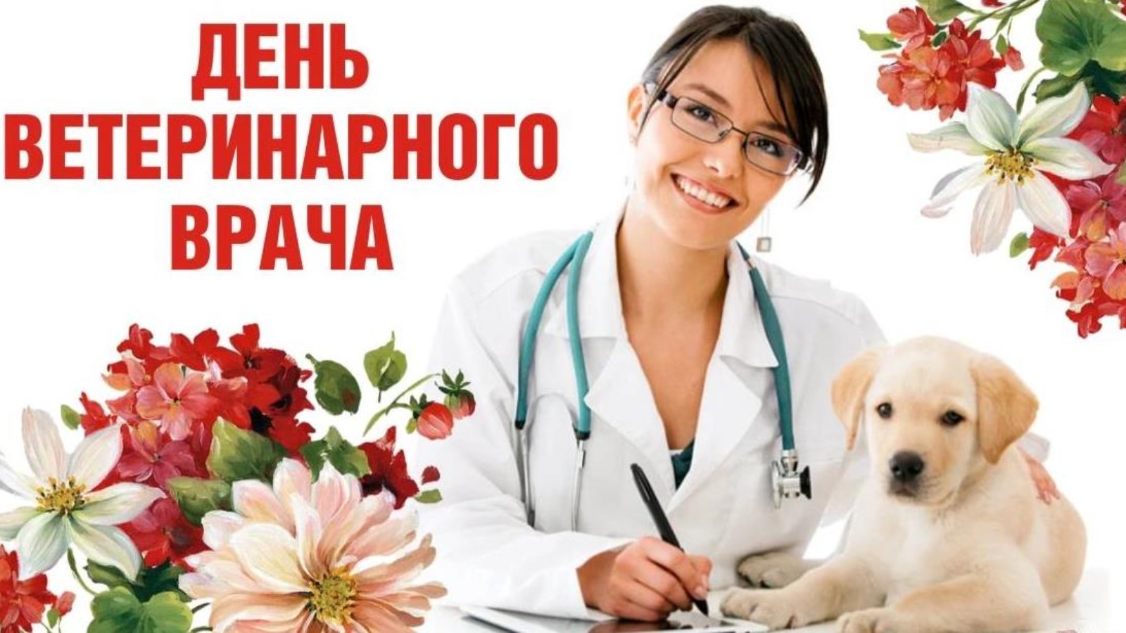 Международный день ветеринарного врача