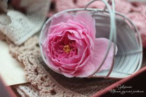 Фото - мк. Английская роза из самозатвердевающей полимерной глины. Rose made of polymer clay.