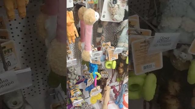 У Ириски день рождения. Выбираем подарок?