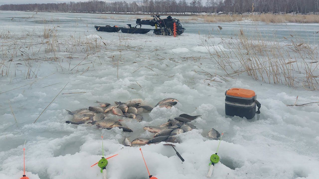 ДОЛГОЖДАННЫЙ ВЕСЕННИЙ КЛЕВ КРУПНОГО КАРАСЯ, ПО ПОСЛЕДНЕМУ ЛЬДУ. смотреть онлайн