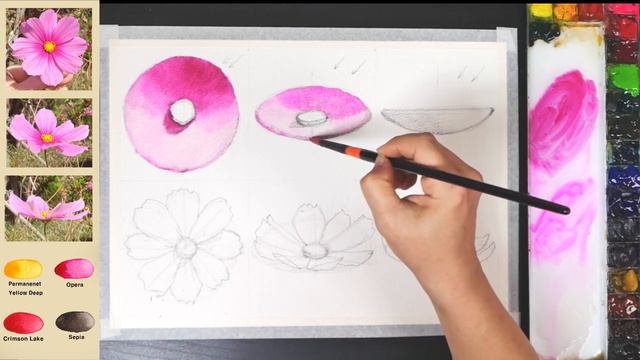 [Eng Sub] How to draw Cosmos. Basic Flower Watercolor - From Sketch To Completion. NAMIL ART смотреть онлайн