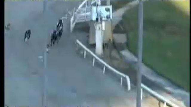 IGB - THE GREYHOUND-DATA.COM A7 STAKE 11/05/2019 Race 3 - Lifford смотреть онлайн