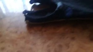 сломал руку. бандаж на запястье своими руками.