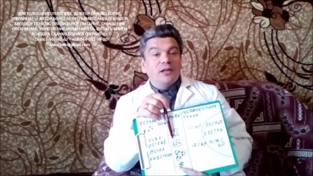 Очищение организма, крови от шлаков и токсинов водой в бане! Как очистить организм в бане правильно
