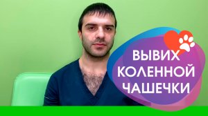 Вывих коленной чашечки у животных