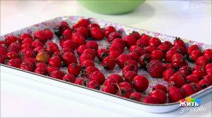 Шиповник - хит сезона. Жить здорово! Фрагмент выпуска от 16.11.2018