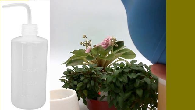 Горшок с автополивом для полуминифиалки с алиэкспресса смотреть онлайн