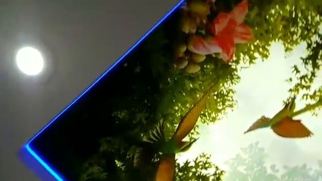 3D потолок смотреть онлайн