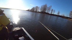 рыбалка на судака , открытие рыбалки , рыбалка весной