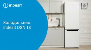 Холодильник Indesit DSN 18  - обзор модели