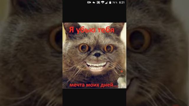 Картинки под музыку(Котики) смотреть онлайн