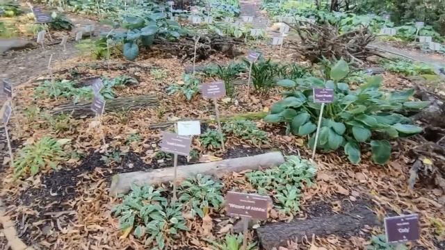 Завтрак в Ашане ☕️? Ассортимент и цены ✅️ Ботанический сад ‼️ Море впечатлений ? смотреть онлайн