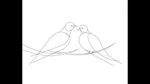 Как нарисовать голубей