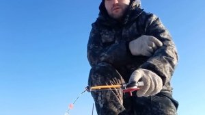 Ловля ротана зимой