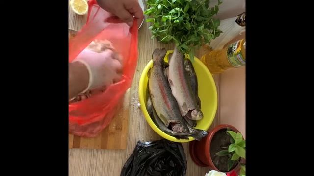 Форель на мангале