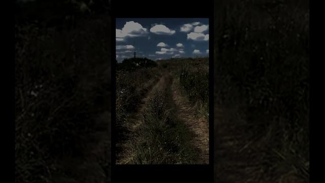Звук ночи в деревне