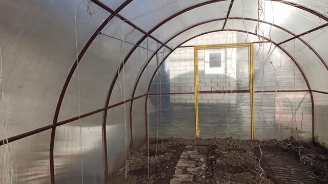 ПОСАДКА РАССАДЫ АФРИКАНСКОГО ОГУРЦА В ТЕПЛИЦУ. смотреть онлайн