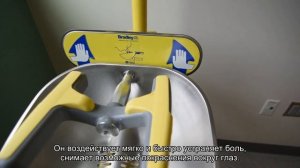 У котенка слезятся глаза: что делать?