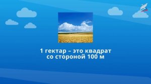 Единицы площади — квадратный километр, квадратный миллиметр. Таблица единиц площади