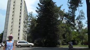 Абхазия 171 Пансионат Пицунда. У корпуса Апсны.