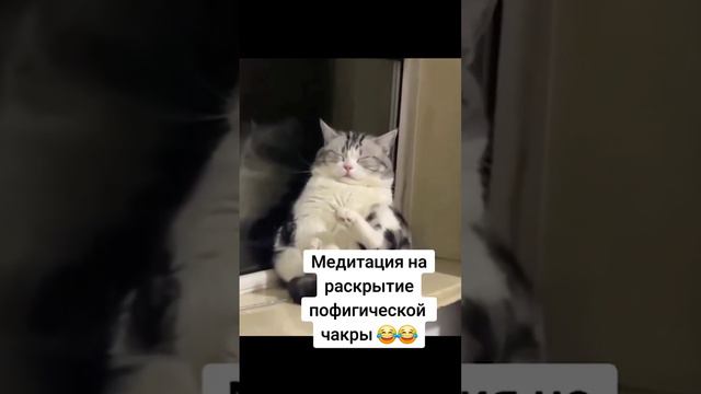 - Это я на работе, когда пытаюсь никого не посылать🙂