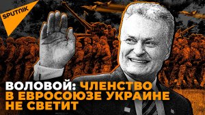 Воловой о том, почему вступление Украины в ЕС – нереальный вариант