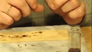 Рыбалка Щербаковых 21. Безмотыльные мормышки.