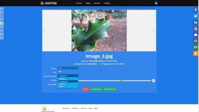 Aspose.Imaging Compress