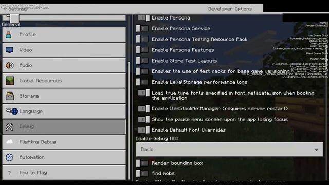 Secret Settings and Dev Console - Minecraft Bedrock Leaks