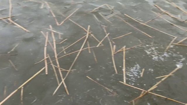 Сезон Зимней Рыбалки Закрыл 23.04.2023 #последний#лëд# смотреть онлайн