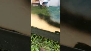 Бюджетная покраска НИВЫ 21213 или убираем рыжики с помощью камуфляжа