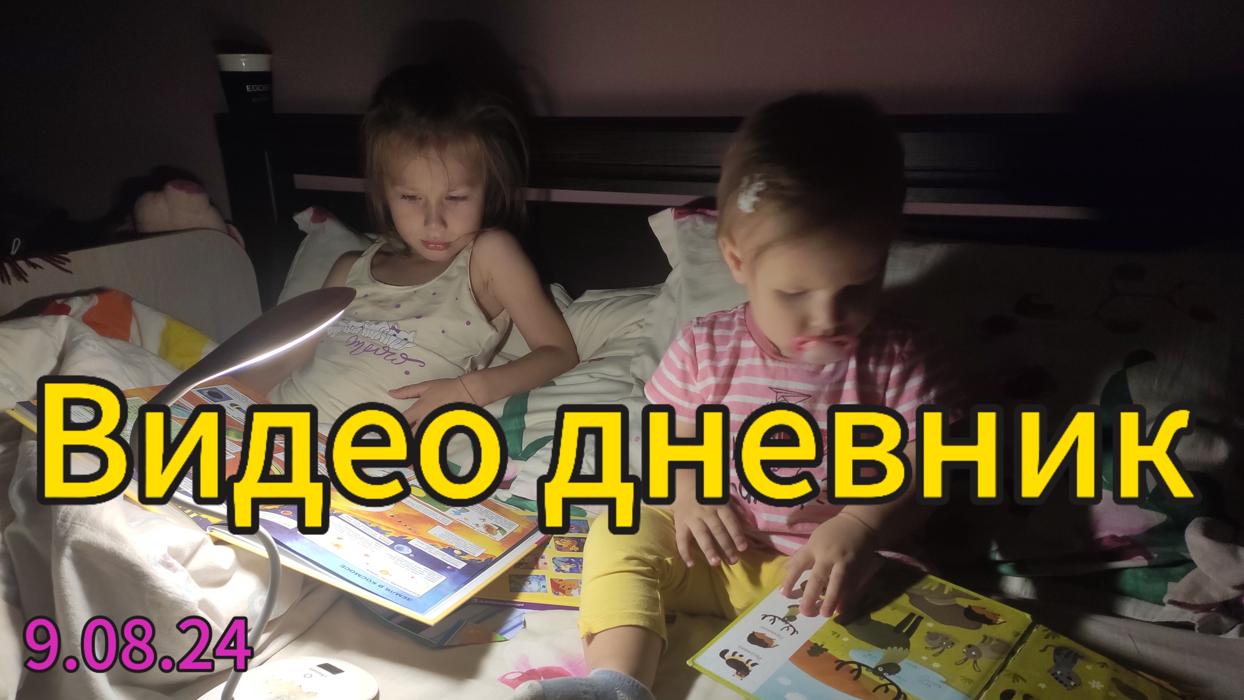 Прогулка в ближайший лесок за костяникой. Видео дневник жизни с детьми. Ложимся спать..