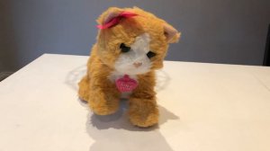 Furreal Friends Daisy Cat