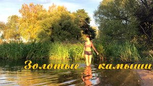 Ⓛ❄ Золотые камыши. "Утки! У-у-у!" Осеннее купание. Закаливание организма холодной водой