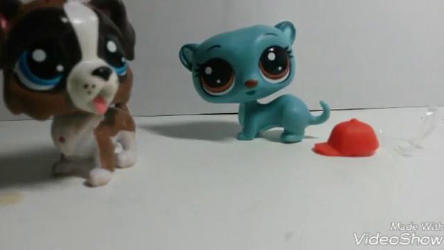 Распаковка петов смотреть онлайн