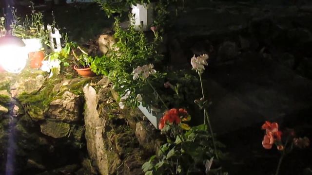 Дача ОСВЕЩЕНИЕ и ПОДСВЕТКА в саду.ЧТО и КАК? Ночное видео. ФОНАРИ. смотреть онлайн