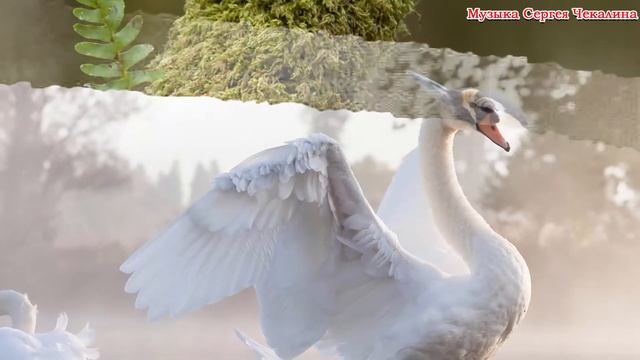 Восхитительная мелодия нежной любви! Невероятно прекрасная музыка, музыка для души Сергея Чекалина#