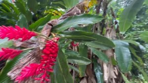 КРУИЗ по Карибам 2023 на лайнере MSC Seascape