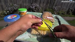 Лучшая насадка! Рыбалка на карася, карпа, сазана и другую мирную рыбу!