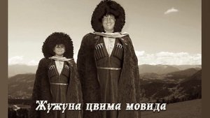 Жужуна цвима мовида