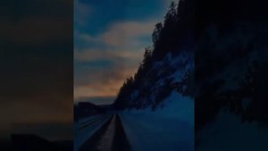 Тарх - Два цветка